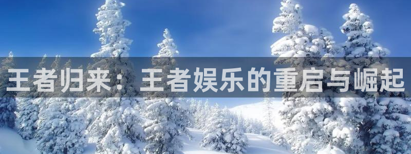 星辉平台手机版下载：王者归来：王者娱乐的重启与崛起