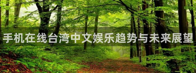 星辉平台2体育：手机在线台湾中文娱乐趋势与未来展望
