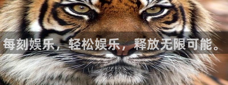 星辉平台体育注册代理：每刻娱乐，轻松娱乐，释放无限可能。