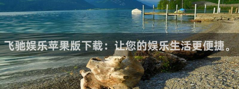 星辉平台体育app下载：飞驰娱乐苹果版下载：让您的娱乐生活更便捷。