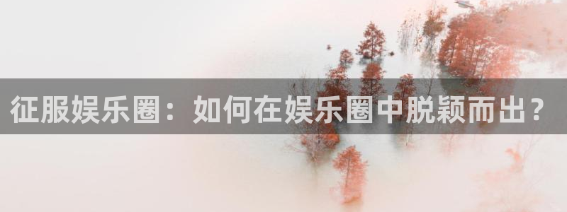 星辉平台集团官网：征服娱乐圈：如何在娱乐圈中脱颖而出？