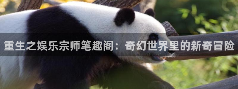 星辉平台5：重生之娱乐宗师笔趣阁：奇幻世界里的新奇冒险
