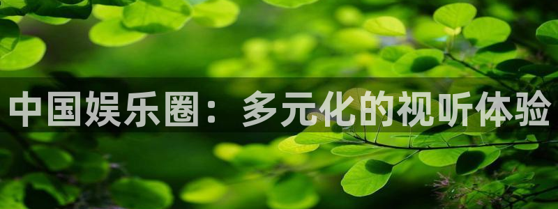 星辉平台平台总代理：中国娱乐圈：多元化的视听体验
