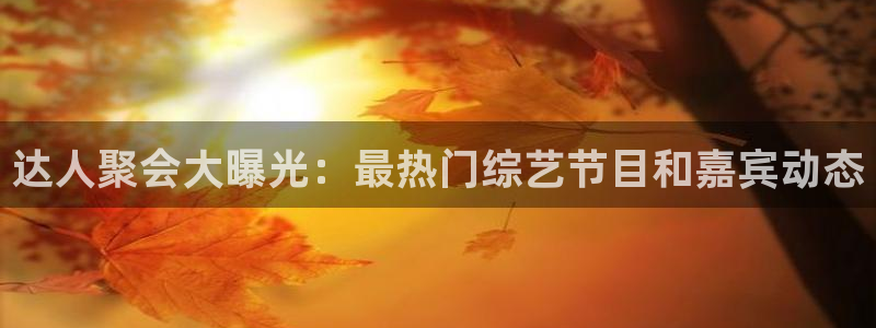星辉平台体育官网登录：达人聚会大曝光：最热门综艺节目和嘉宾动态