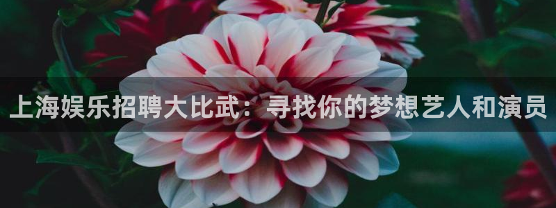 星辉平台官网地址：上海娱乐招聘大比武：寻找你的梦想艺人和演员