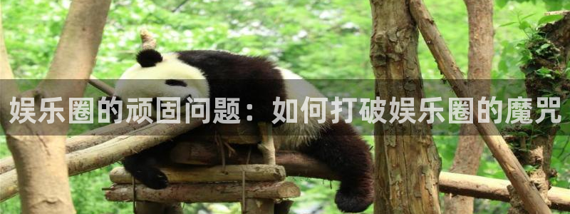 福建星辉平台机电股份公司：娱乐圈的顽固问题：如何打破娱乐圈的魔咒