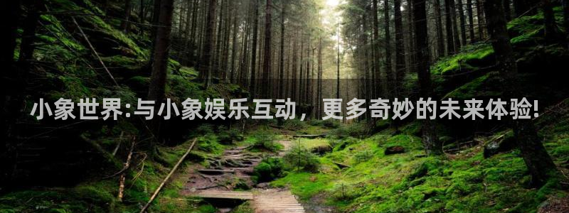 星辉平台平台管网入口：小象世界:与小象娱乐互动，更多奇妙的未来体验!