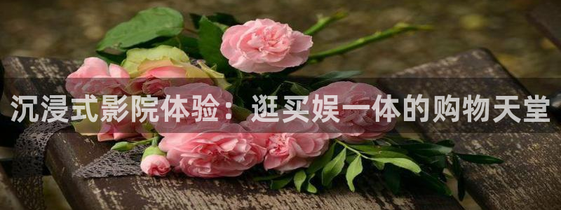星辉平台app注册地址：沉浸式影院体验：逛买娱一体的购物天堂
