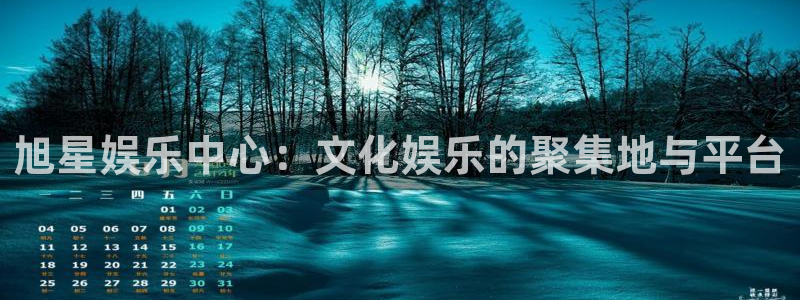 电子游戏星辉平台：旭星娱乐中心：文化娱乐的聚集地与平台
