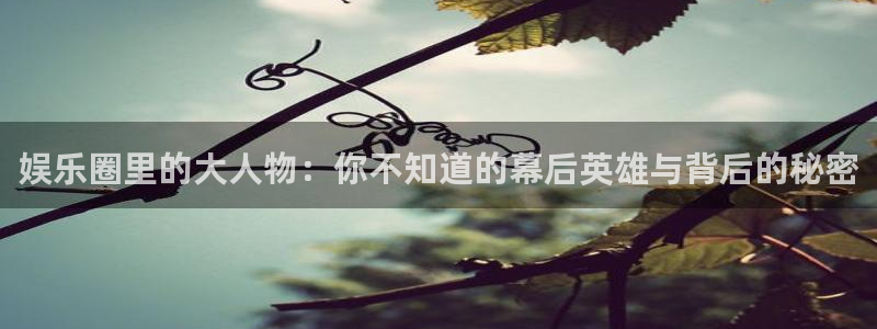 星辉平台下载链接是多少：娱乐圈里的大人物：你不知道的幕后英雄与背后的秘密