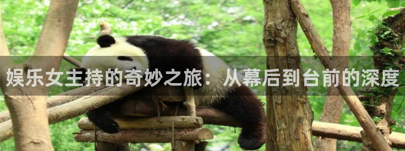 星辉平台注册：娱乐女主持的奇妙之旅：从幕后到台前的深度