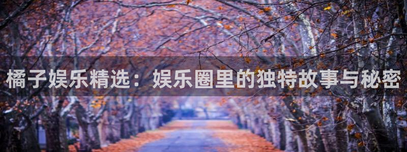 星辉平台游戏官网入口