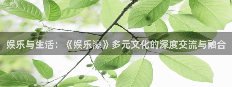 星辉平台体育合法嘛：娱乐与生活：《娱乐濠》多元文化的深度交流与融合