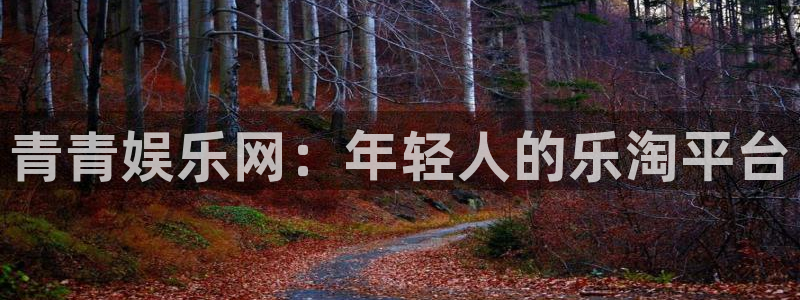 星辉平台股份：青青娱乐网：年轻人的乐淘平台