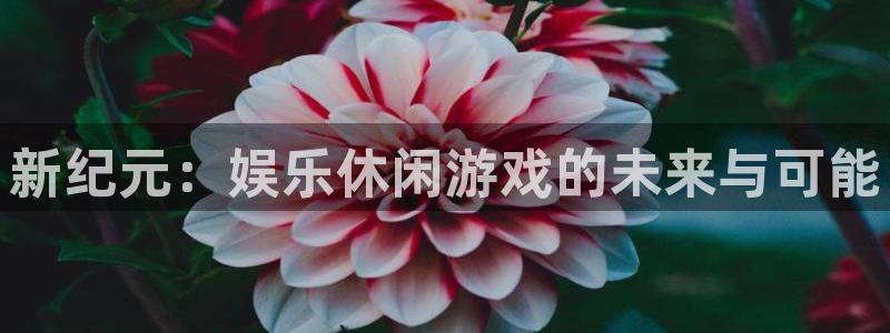 星辉平台账号注册入口：新纪元：娱乐休闲游戏的未来与可能
