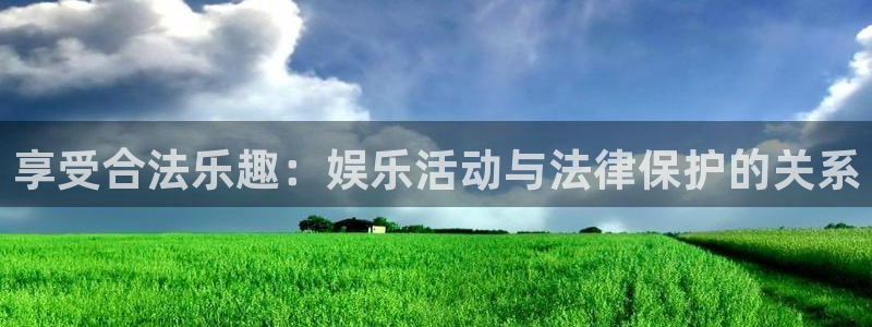 星辉平台2登录：享受合法乐趣：娱乐活动与法律保护的关系