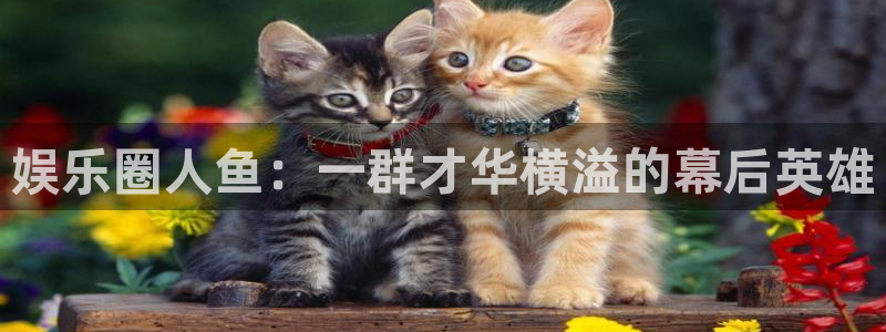 星辉平台体育2官网入口：娱乐圈人鱼：一群才华横溢的幕后英雄