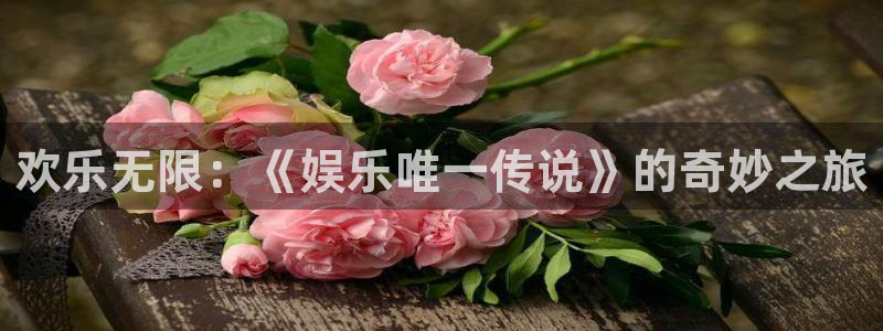 星辉平台vip麻将胡了：欢乐无限：《娱乐唯一传说》的奇妙之旅