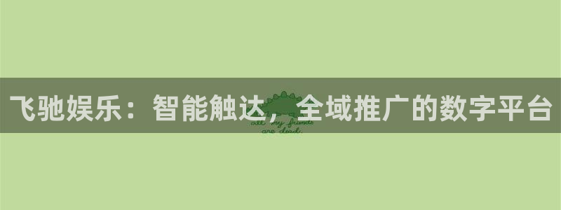 星辉平台网站登录流程：飞驰娱乐：智能触达，全域推广的数字平台