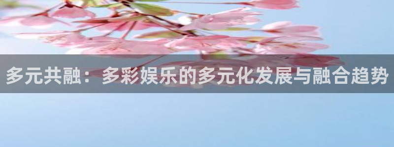 星辉平台2登录：多元共融：多彩娱乐的多元化发展与融合趋势