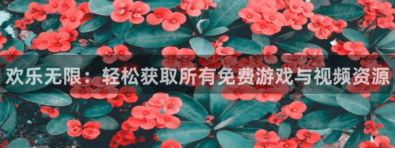 星辉平台是真的吗：欢乐无限：轻松获取所有免费游戏与视频资源