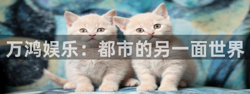 星辉平台2平台登录：万鸿娱乐：都市的另一面世界