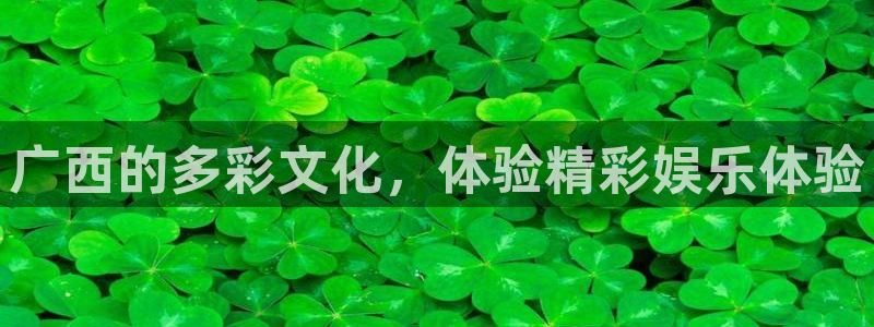 星辉平台.ccm苹果版：广西的多彩文化，体验精彩娱乐体验