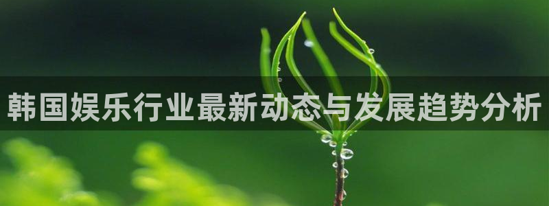 南宫星辉平台：韩国娱乐行业最新动态与发展趋势分析