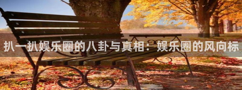 星辉平台3官网：扒一扒娱乐圈的八卦与真相：娱乐圈的风向标