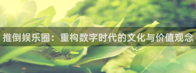 星辉平台体育2官网入口：推倒娱乐圈：重构数字时代的文化与价值观念