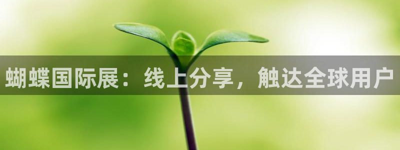 星辉平台平台开户链接