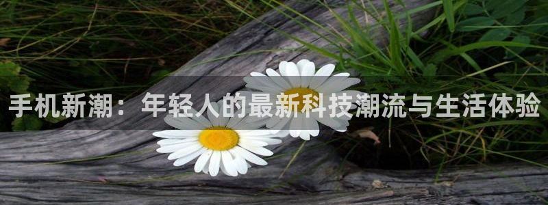 星辉平台体育凯捷登陆