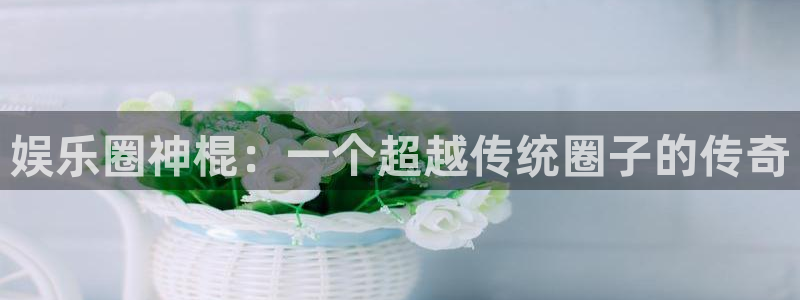星辉平台是大平台吗