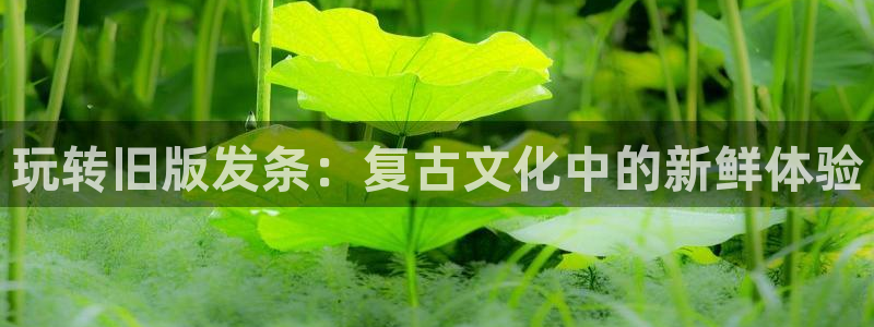 星辉平台平台：玩转旧版发条：复古文化中的新鲜体验