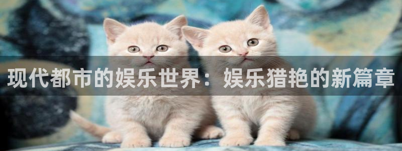 星辉平台体育f开户：现代都市的娱乐世界：娱乐猎艳的新篇章