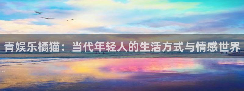 星辉平台体育3在线注册：青娱乐橘猫：当代年轻人的生活方式与情感世界