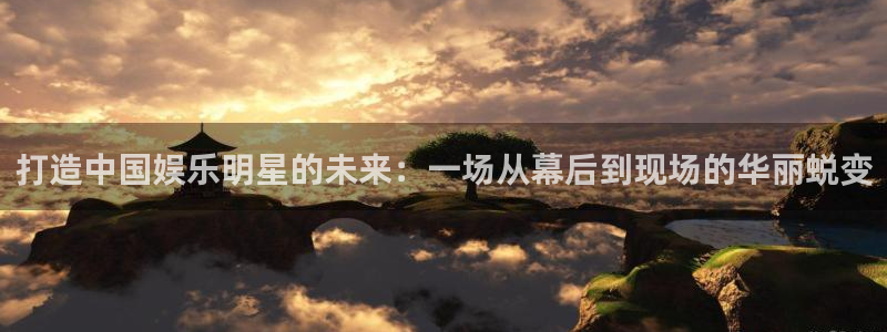 星辉平台app哪个模式容易赢：打造中国娱乐明星的未来：一场从幕后到现场的华丽蜕变